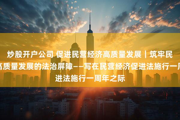 炒股开户公司 促进民营经济高质量发展｜筑牢民营经济高质量发展的法治屏障——写在民营经济促进法施行一周年之际
